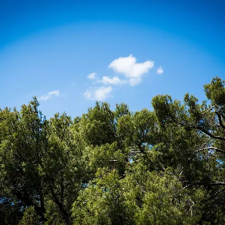 Western La Rade מלון 3*