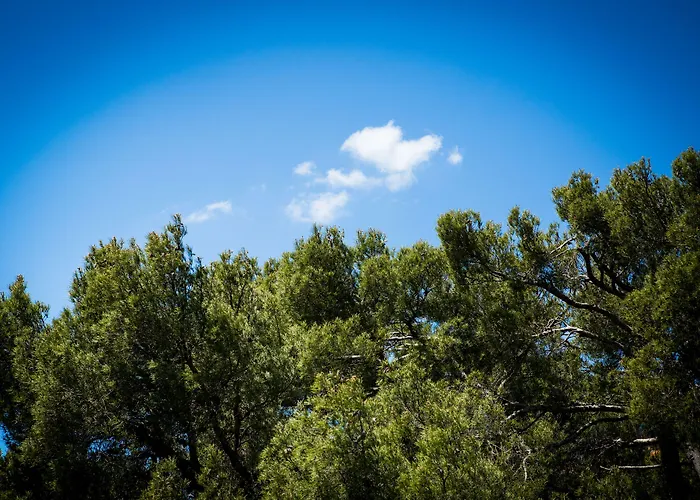 Western La Rade Отель 3*